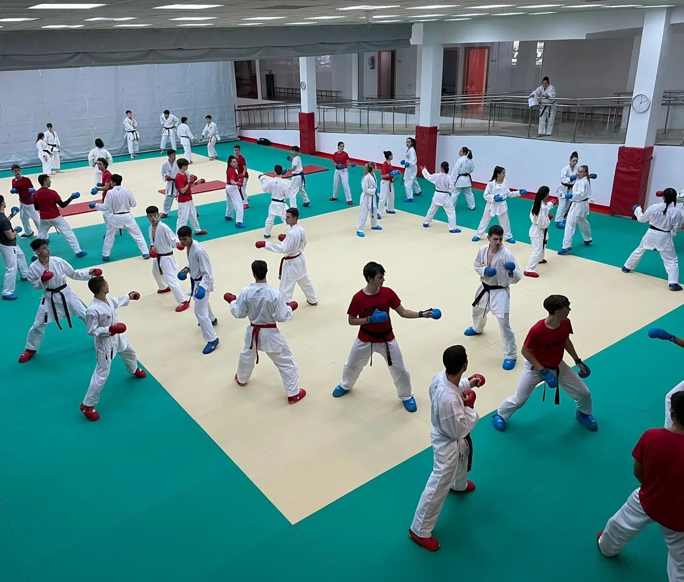 Encuentro con la Federación Vasca en San Sebastián